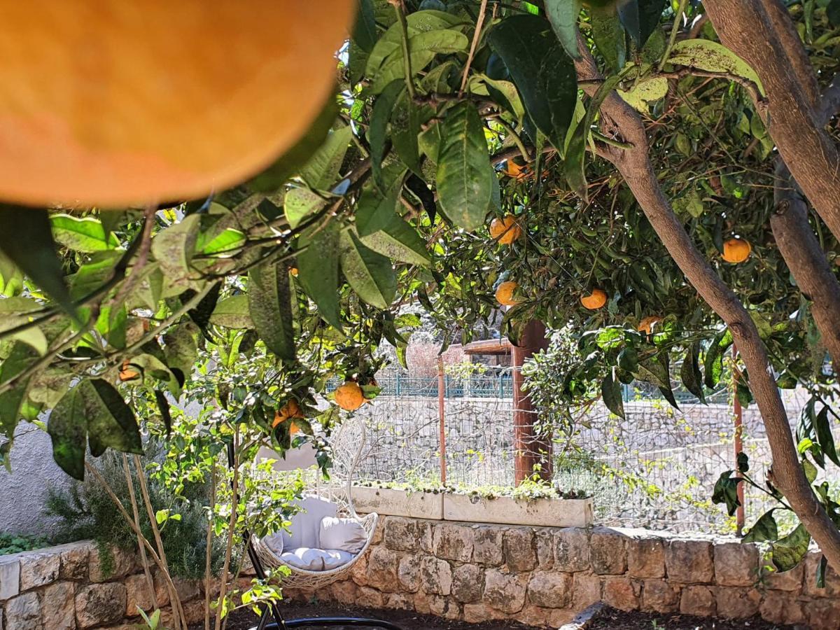 Barbara'S Garden Apartment Dubrovnik Eksteriør bilde